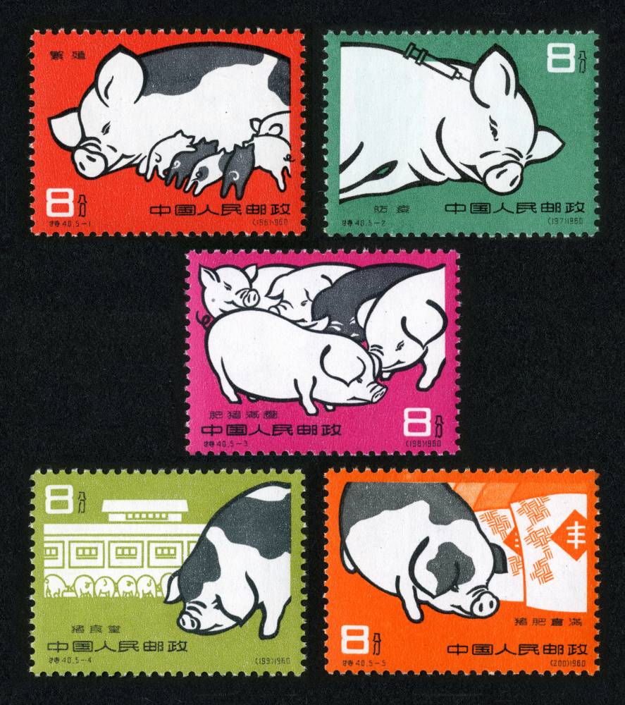 特40邮票 养猪