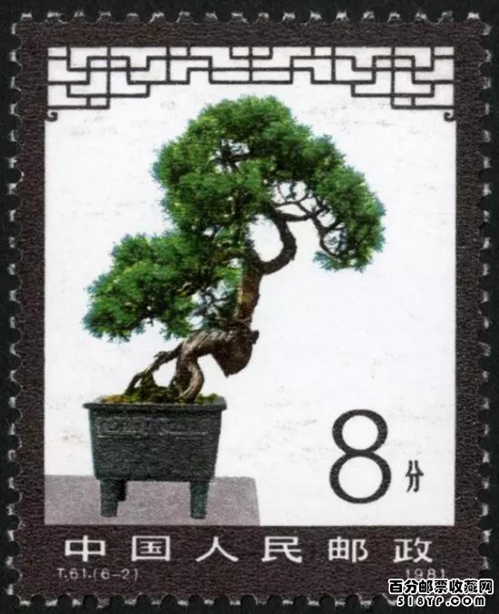 ���辰������������Ʊ